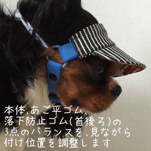 犬用サンバイザー ツバから選ぶ W ワイドタイプ ふわふわ犬向き 紫外線対策 お目目の保護に 犬用サンバイザーと帽子 オーダーメイド犬 猫の洋服 ちまっちアットワーク 犬用サンバイザー ツバから選ぶ W ワイドタイプ ふわふわ犬向き 紫外線対策 お目目の保護に 犬用サンバイザーと帽子 オーダーメイド犬 猫の洋服 ちまっちアットワーク