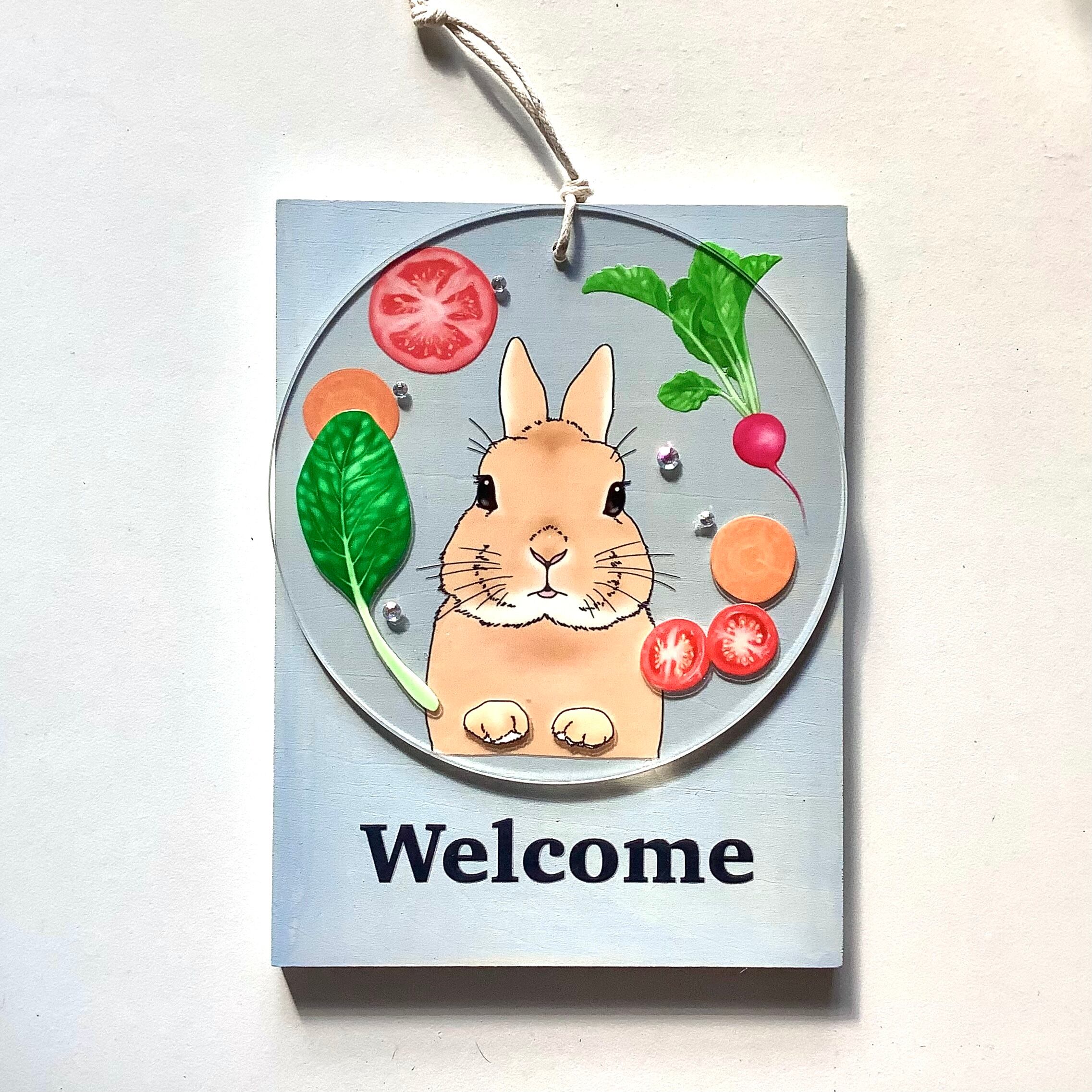 Welcomeプレート ウェルカムボード 玄関 インテリア / うさぎ(オレンジ