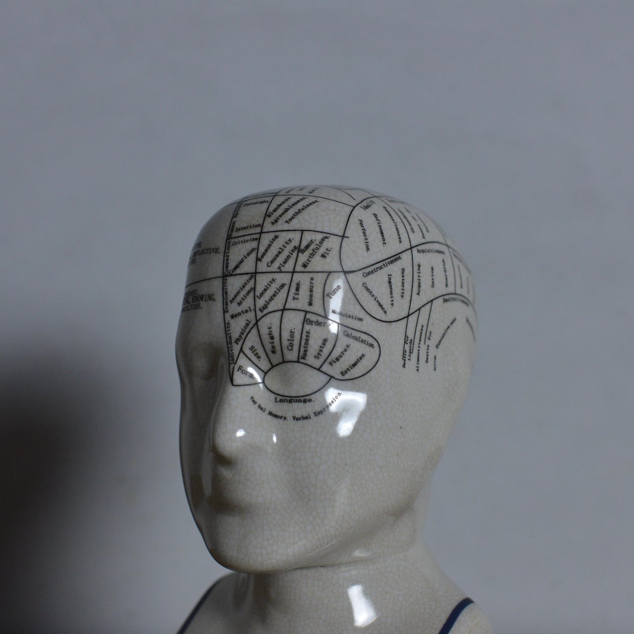 Phrenology Head 【L】 / フレノロジー ヘッド〈オブジェ・置物・人体