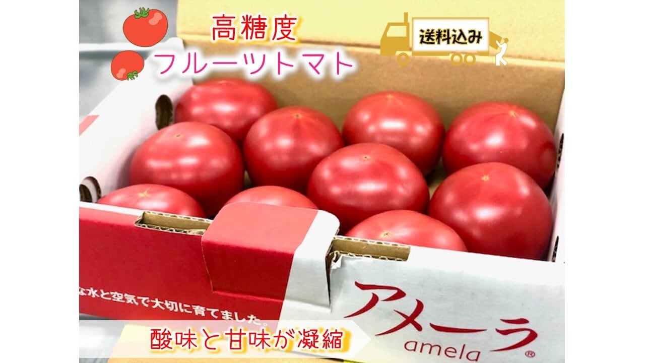 在庫処分 5ケース アメーラトマト 自信あります 高糖度 フルーツトマト 品質鮮度抜群