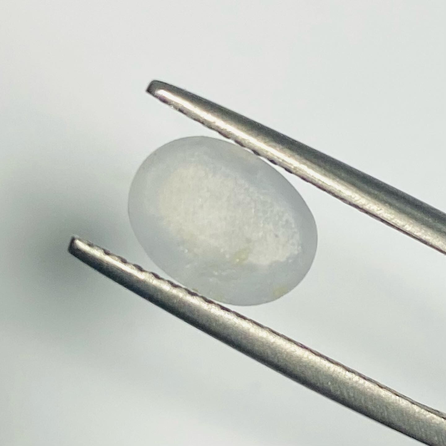 神秘的な海月 スターサファイア