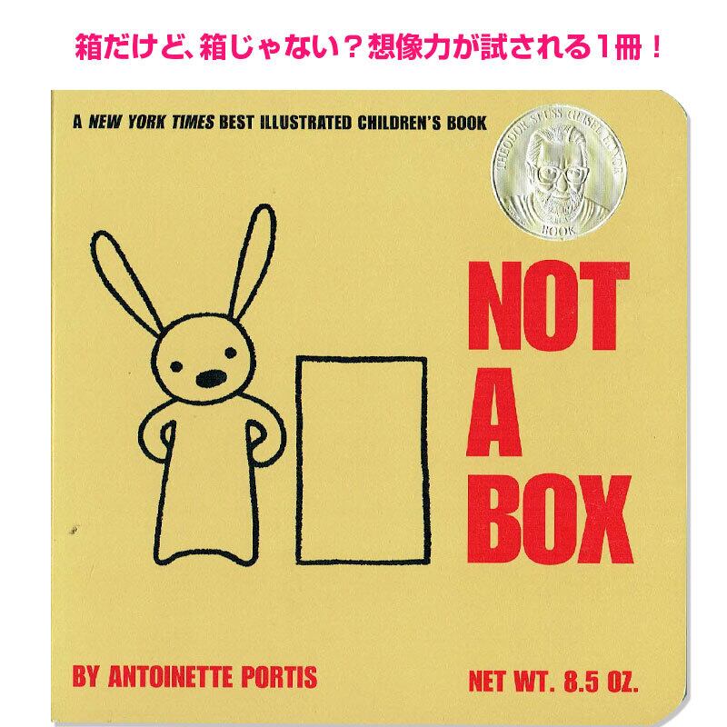 想像力で楽しもう!「Not a Box」