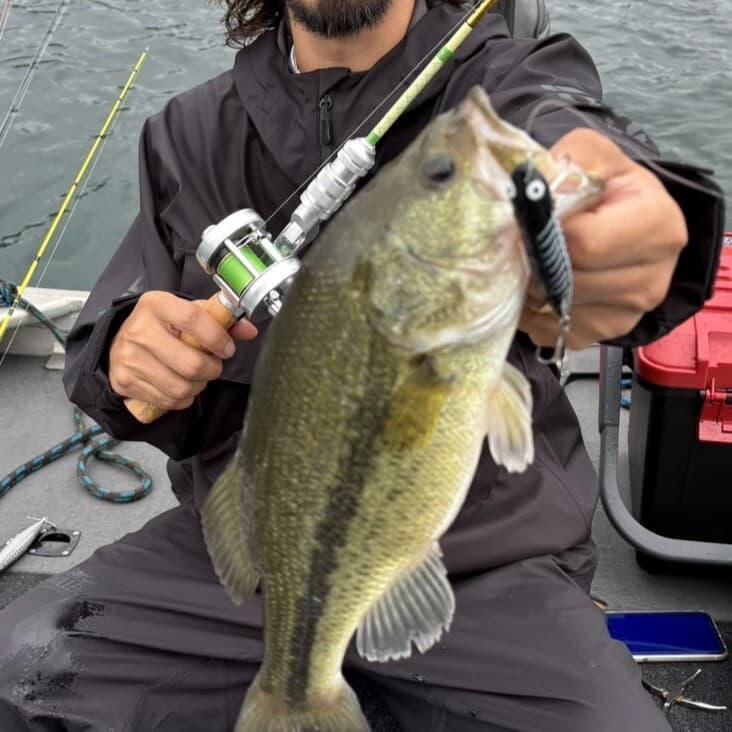 ABU Garcia／ZSUC-59ML | ルアーショップB－FARM