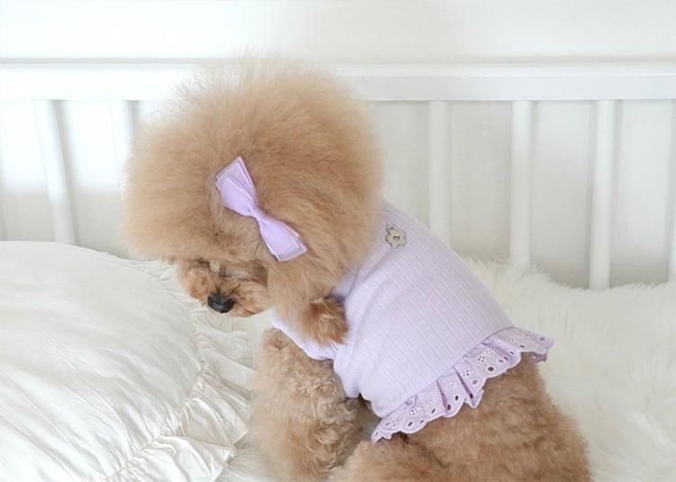 【SALE】ミニクロップドトップス S ~ XL 3color / 犬の服 犬服 新作 ショート丈 小型犬 中型犬 ペット洋服 ドッグウェア ペット用品