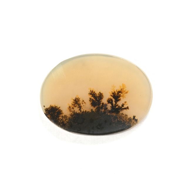 シャザールストーン（デンドリティックアゲート）インド産 2.2ct #JWS4102