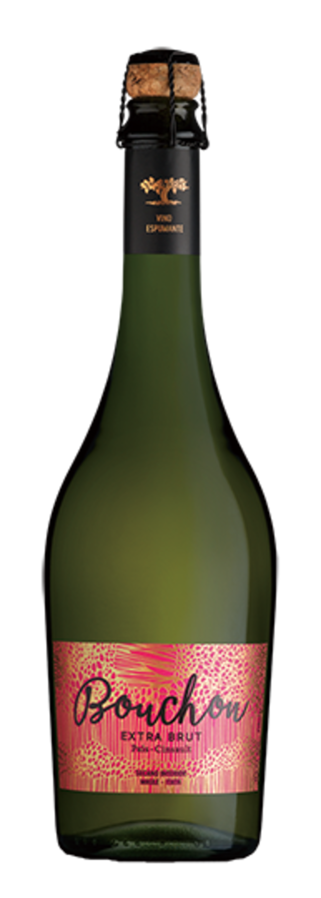 ブション・ファミリー・ワインズ エクストラ・ブリュット パイス・サンソ― セカーノ・インテリア マウレ・ヴァレー　NV 　　Bouchon Family Wines Extra Brut Pais-Cinsault Secano Interior Maule Valley　