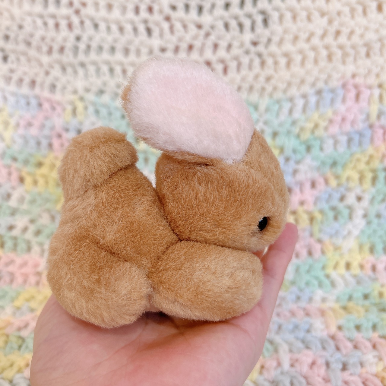 mini bunnyの画像04