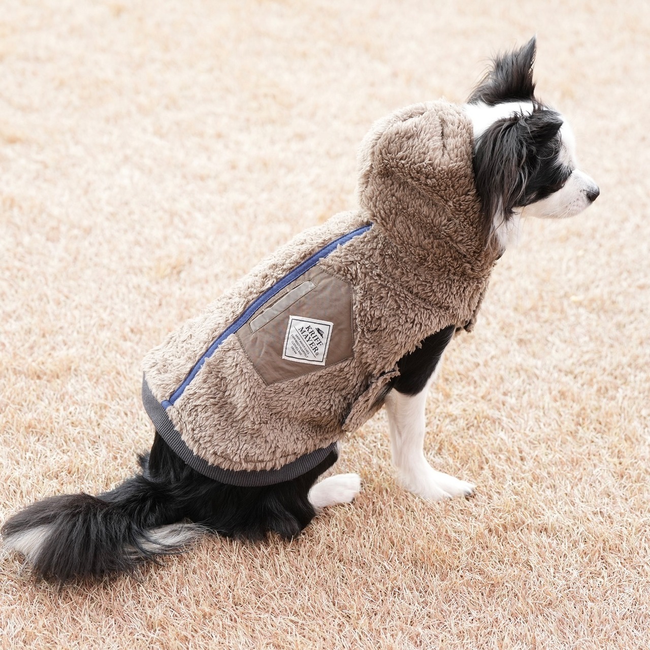 DOGひっくりベスト（BLACK）
