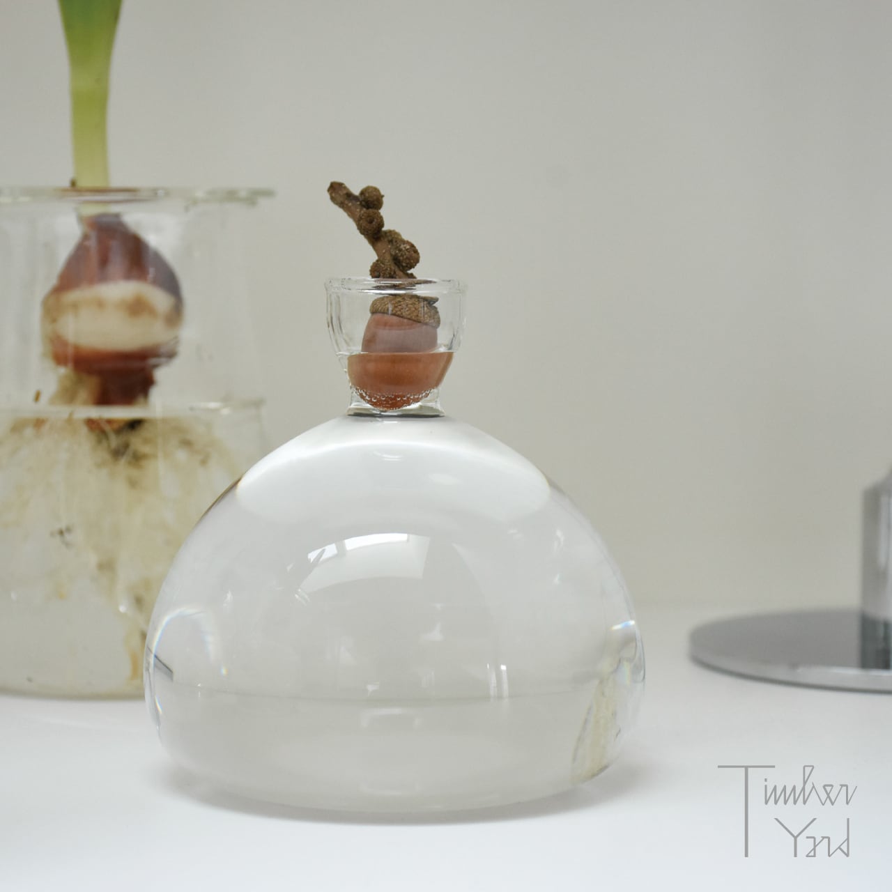 在庫限り】ACORN VASE / クリア / Ø100×H100mm / ILEX STUDIO（アイ