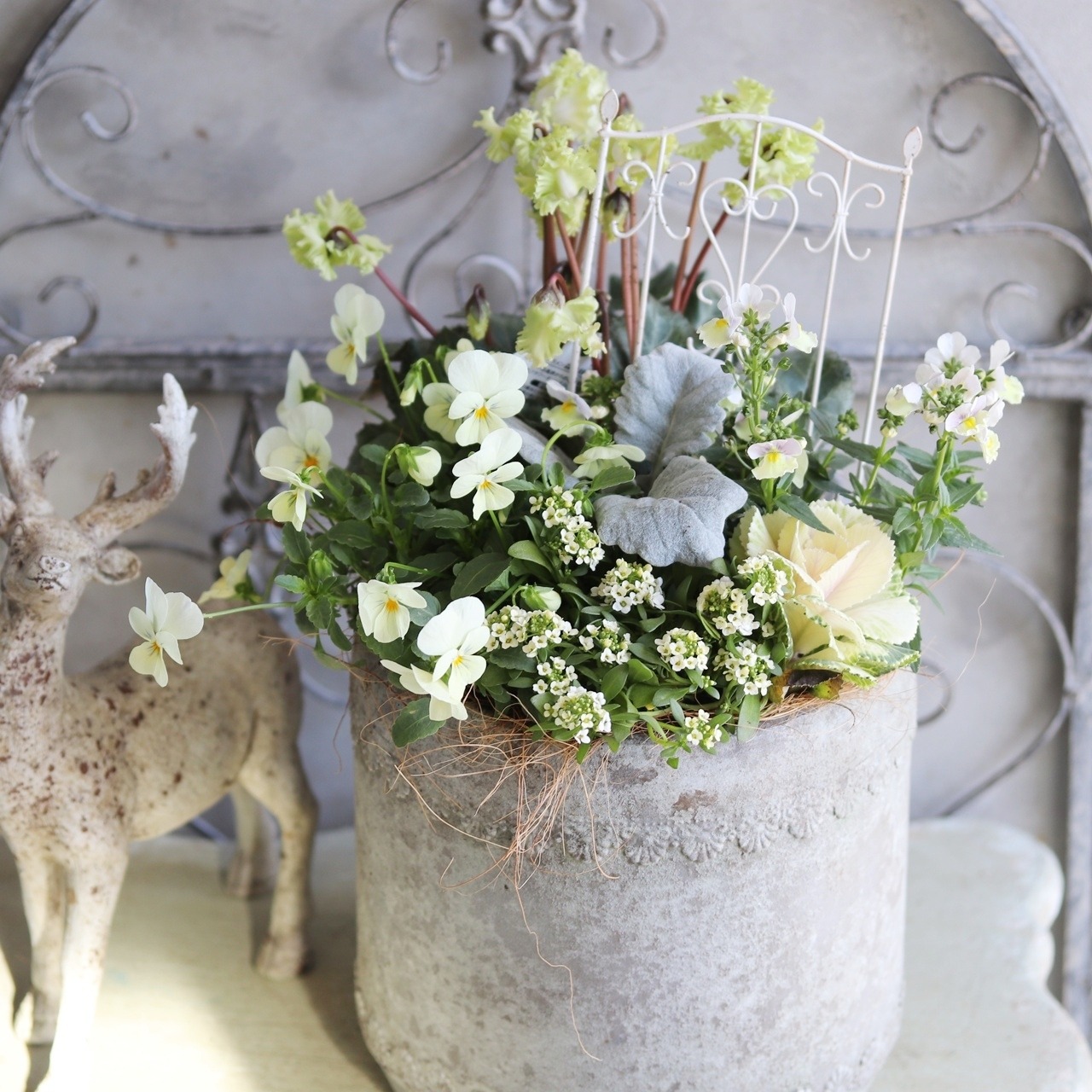 冬から春に楽しむ寄せ植え　シャビーなポットにシクラメン森の妖精とイエローグリーンがかわいい寄せ植え　ピック付き　お正月にオススメ　届いてすぐ玄関に飾れる 　プレゼントにもオススメ　
