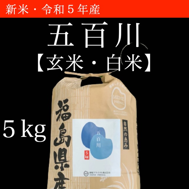 令和5年産　五百川｜5kg×1袋（紙袋）　玄米・白米【福島産・米農家直販・2023年産】