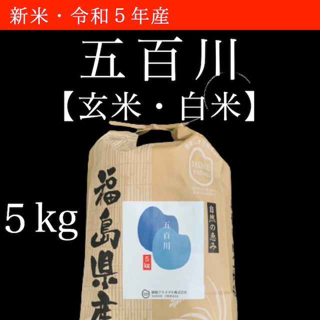 【新米】令和5年産　五百川｜5kg×1袋（紙袋）　玄米・白米【福島産・米農家直販・2023年産】