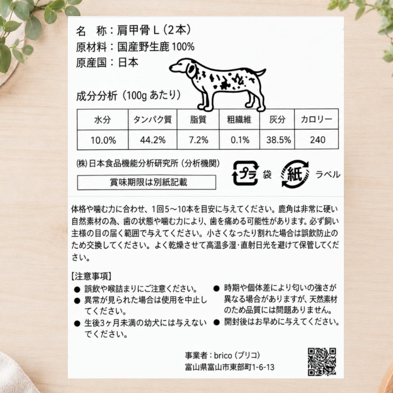 LOOPe(ループ) 肩甲骨 Lサイズ
