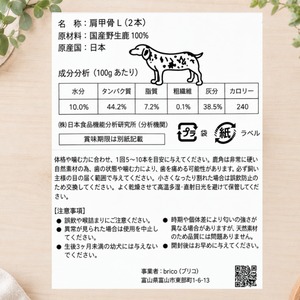 LOOPe(ループ) 肩甲骨 Lサイズ