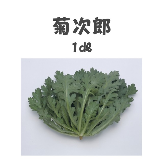 菊次郎　シュンギク種子・1dl
