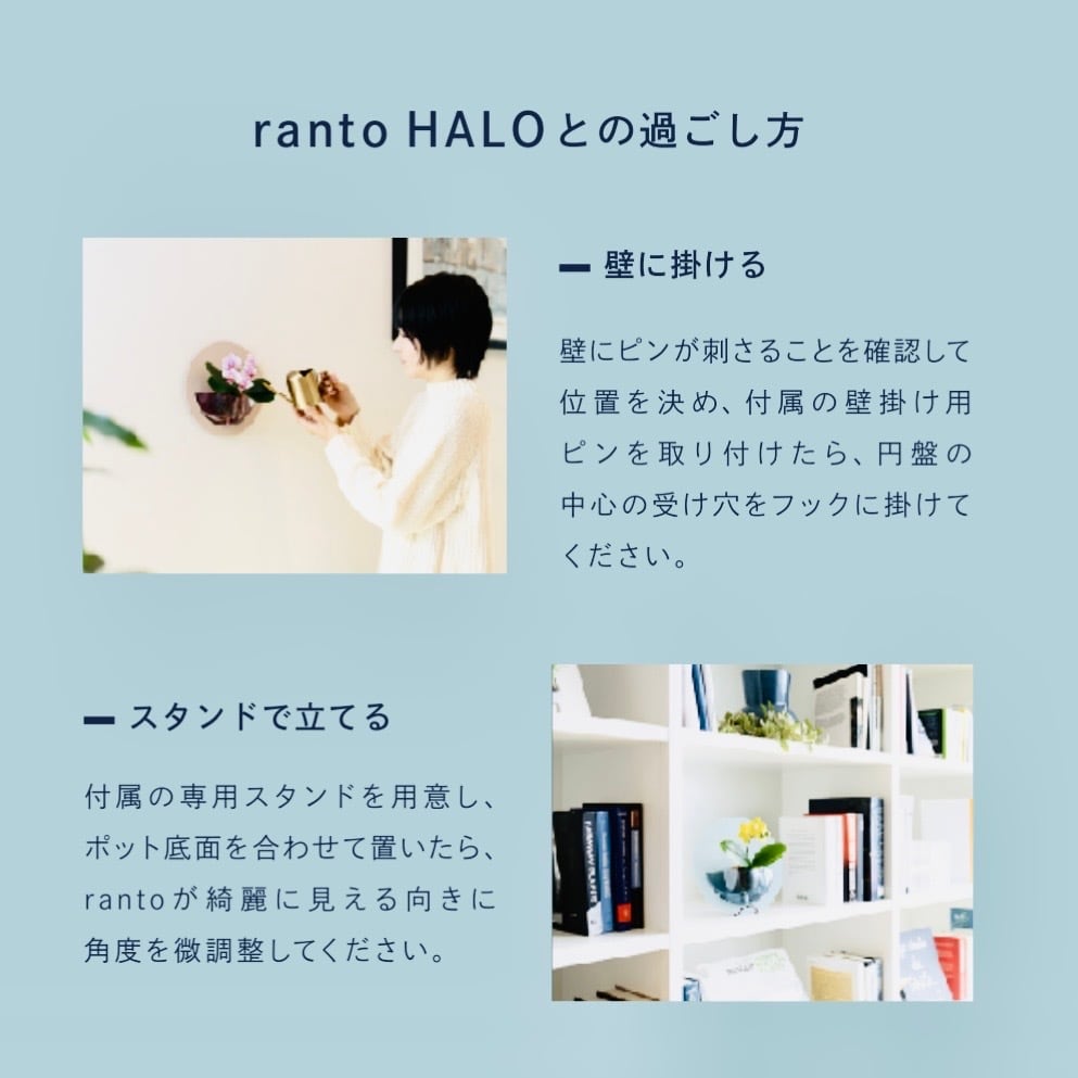 壁掛け胡蝶蘭【ranto HALO 】ライトピンク系 | ranto