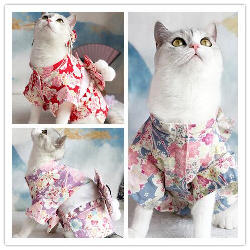 《予約》2101368 浴衣コレクションver2