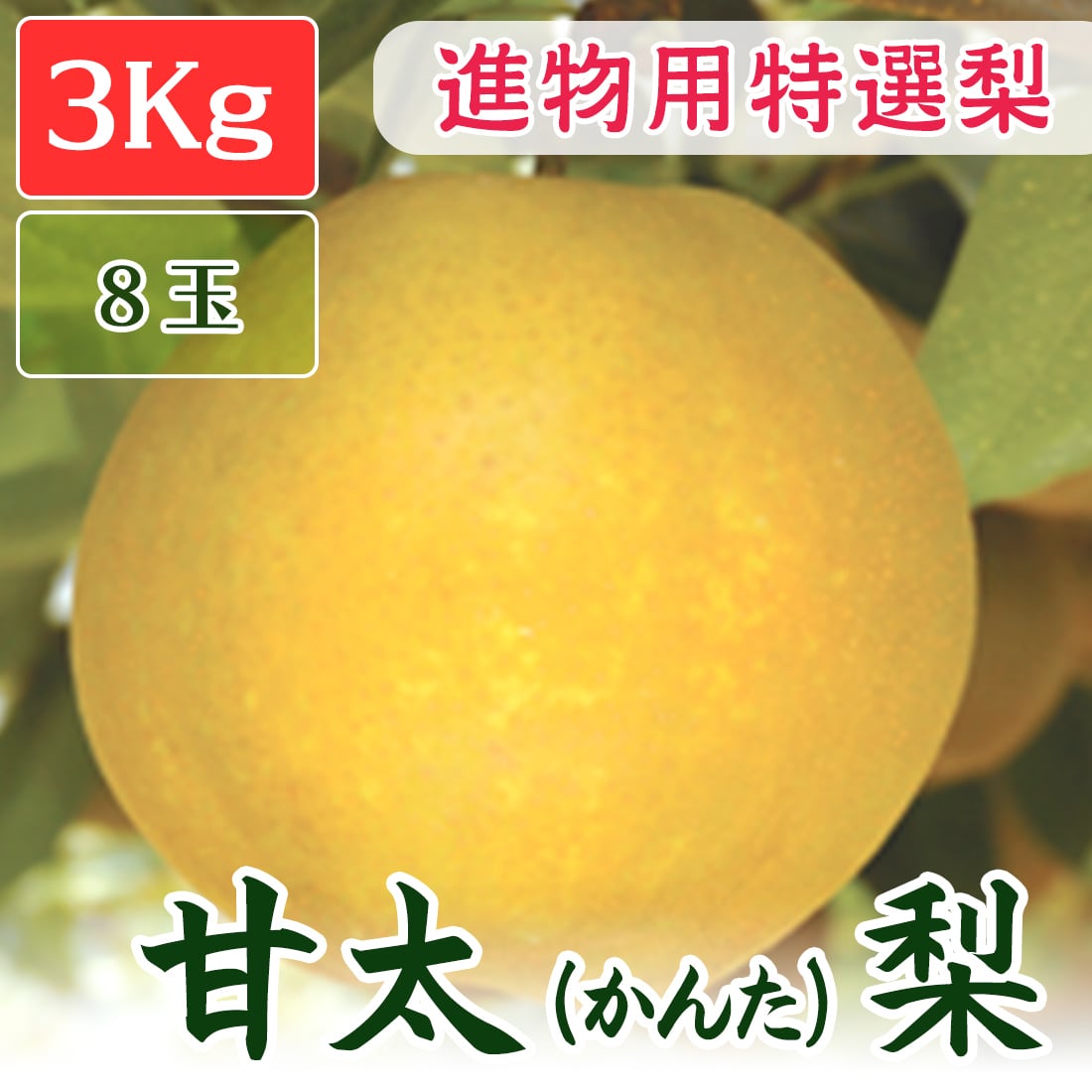 972cf0c4ab8e9f466c5ede2a7e50f4