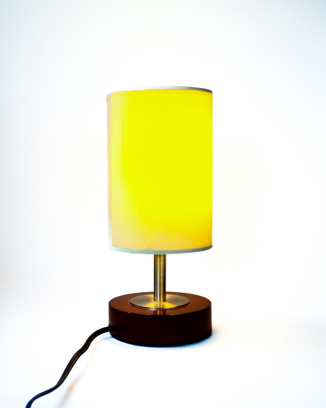 2008 Shade lamp with a wooden base