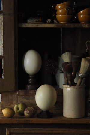 ダチョウの卵オブジェ-vintage ostrich egg