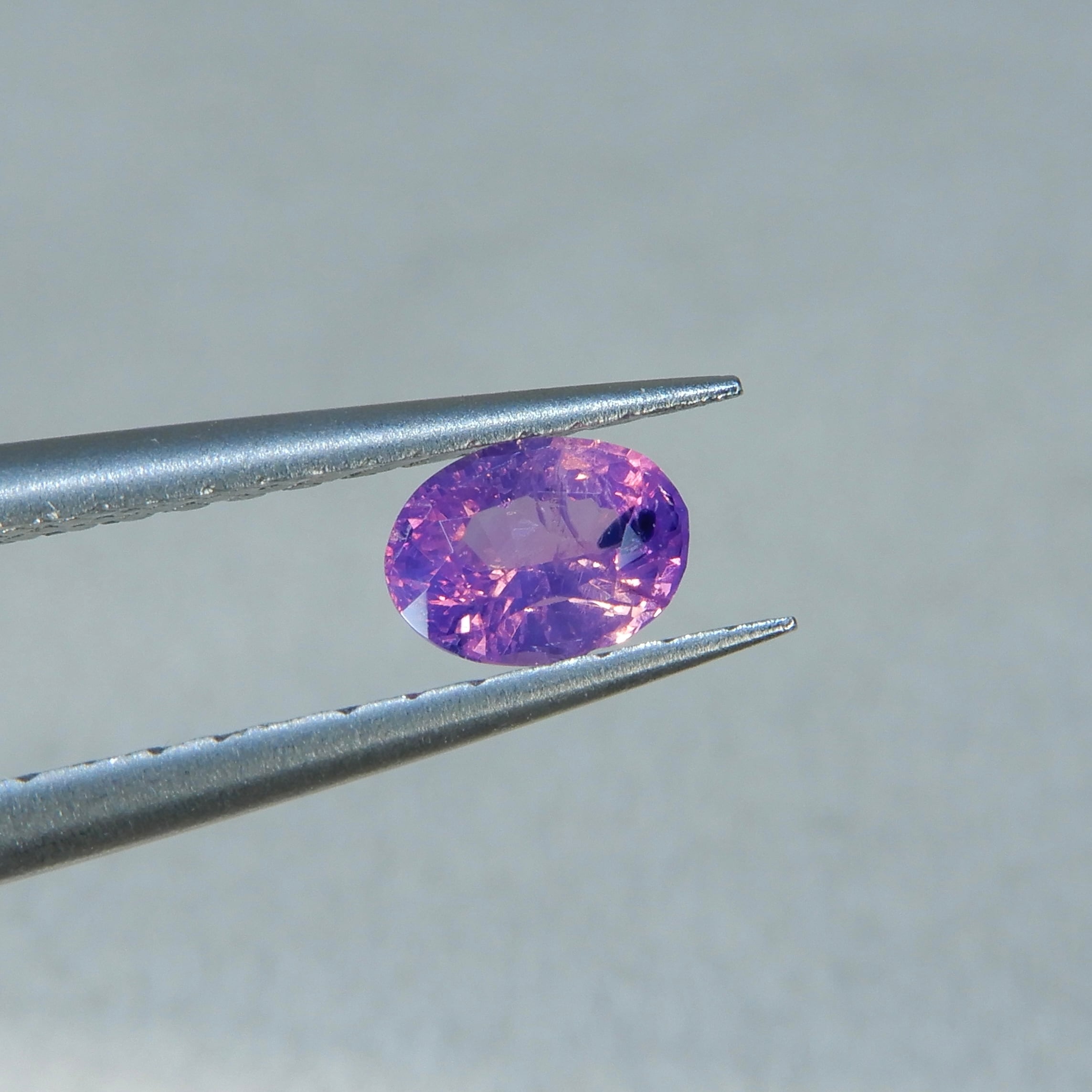 シルキーサファイア ネオンカラー