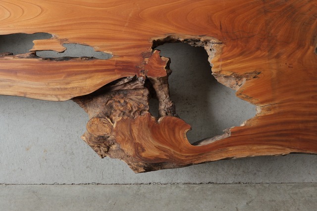 欅　Zelkova