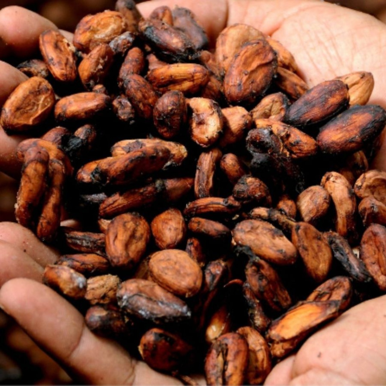 GOOD CACAO　カカオ和紅茶(缶)／カカオティー・画像8