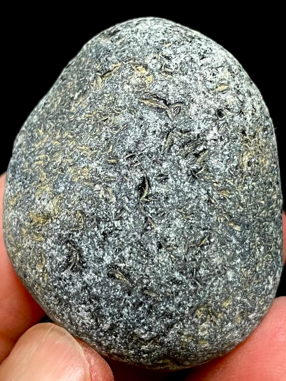 19) スーパー「隠岐の島」黒曜石(中型)