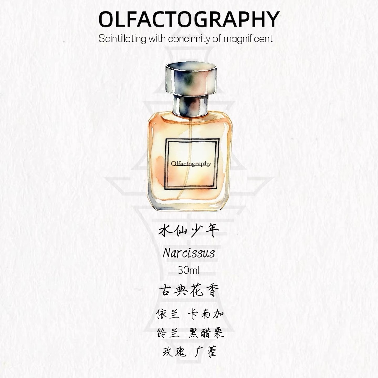 【大佛之香 OLFACTOGRAPHY】水仙少年 Narcissus