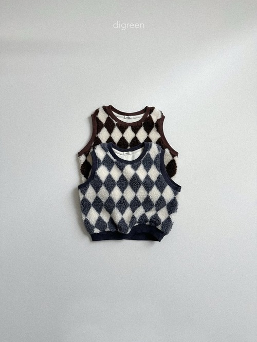 digreen25wn_Argyle Vest