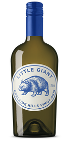 リトルジャイアント　アデレードヒルズ　ピノグリ　22　Little Giant Adelaide Hills Pinot Gris