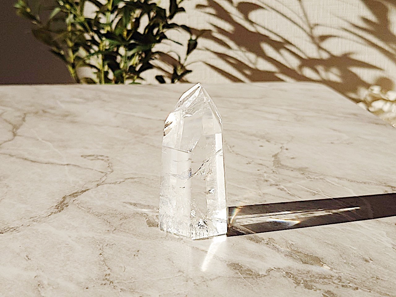 トントン拍子＋α 40