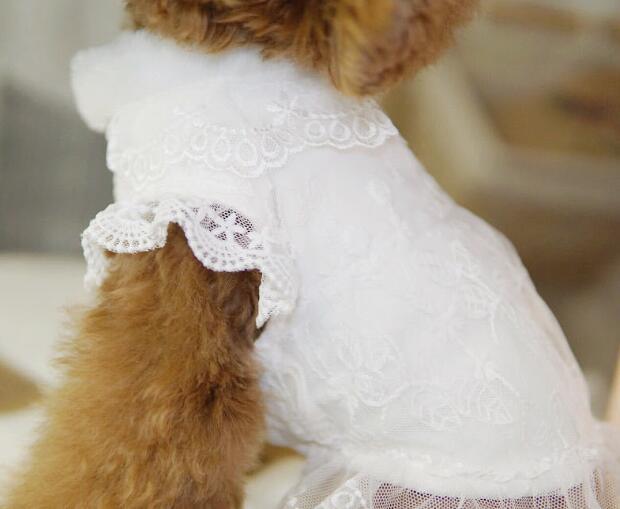 《予約》№3101909 オールホワイトワンピース