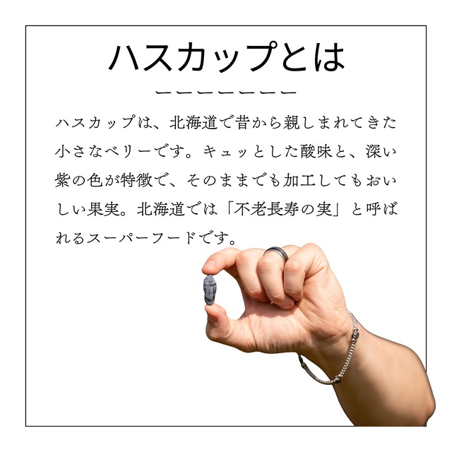 ※7月発送【１０本セット】ハスカップ・ストレートジュース