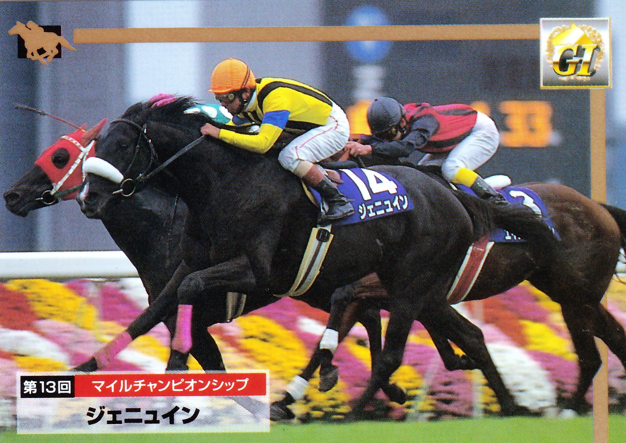 ジェニュイン：第13回 マイルチャンピオンシップ「サラブレッドカード