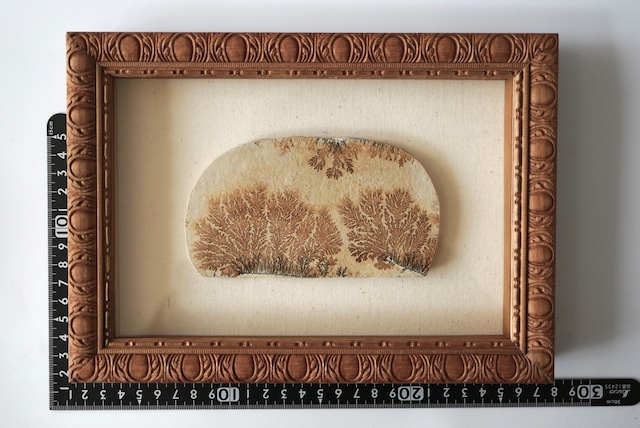 デンドライト 額装 Dendritic limestone 1044