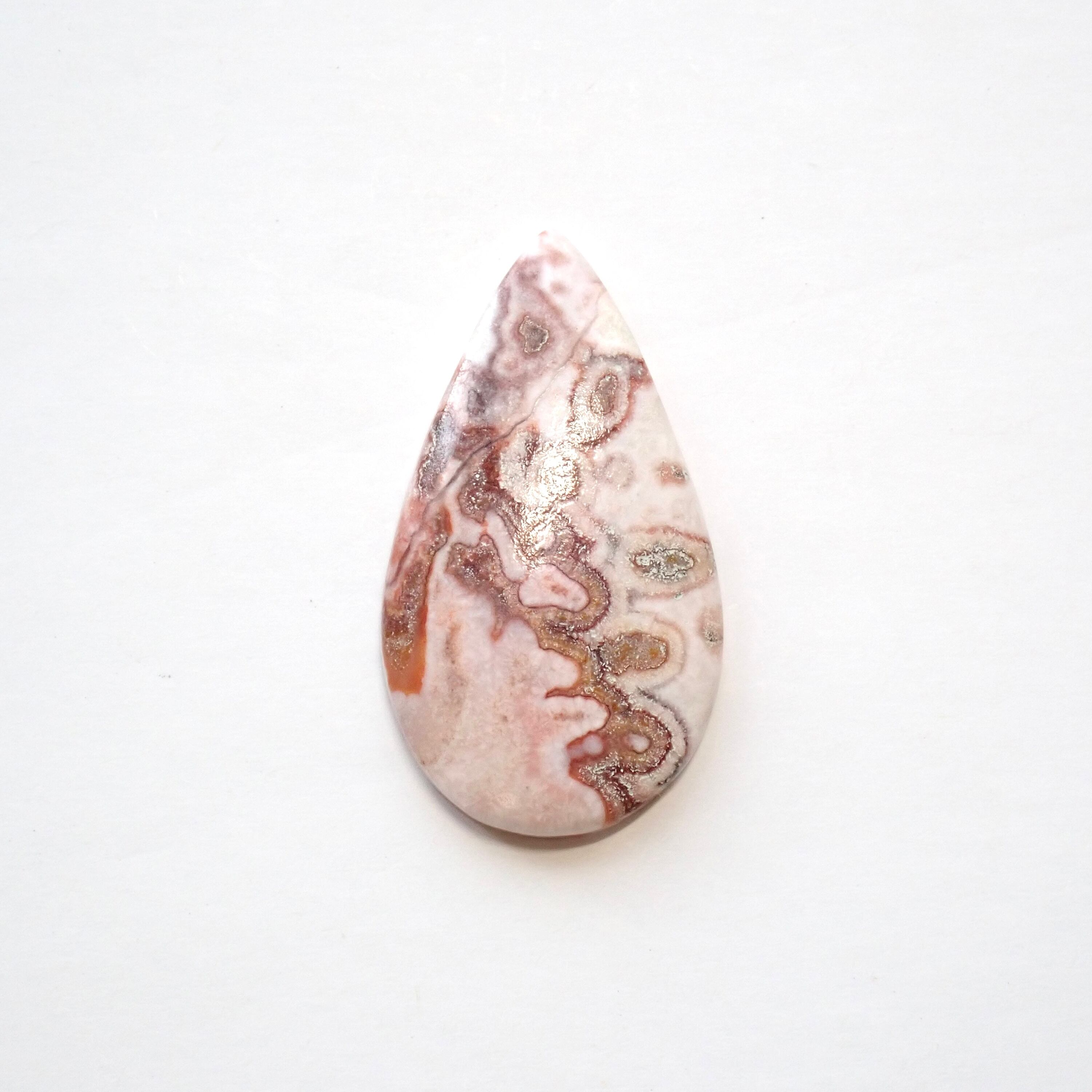 ロゼッタジャスパー 04