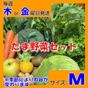 定期便【たま野菜セット　Ｍサイズ】毎週木～金曜日発送【送料無料(クール便)】