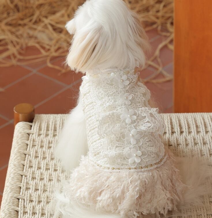 おすすめ☞《予約》№3102308 レースワンピース