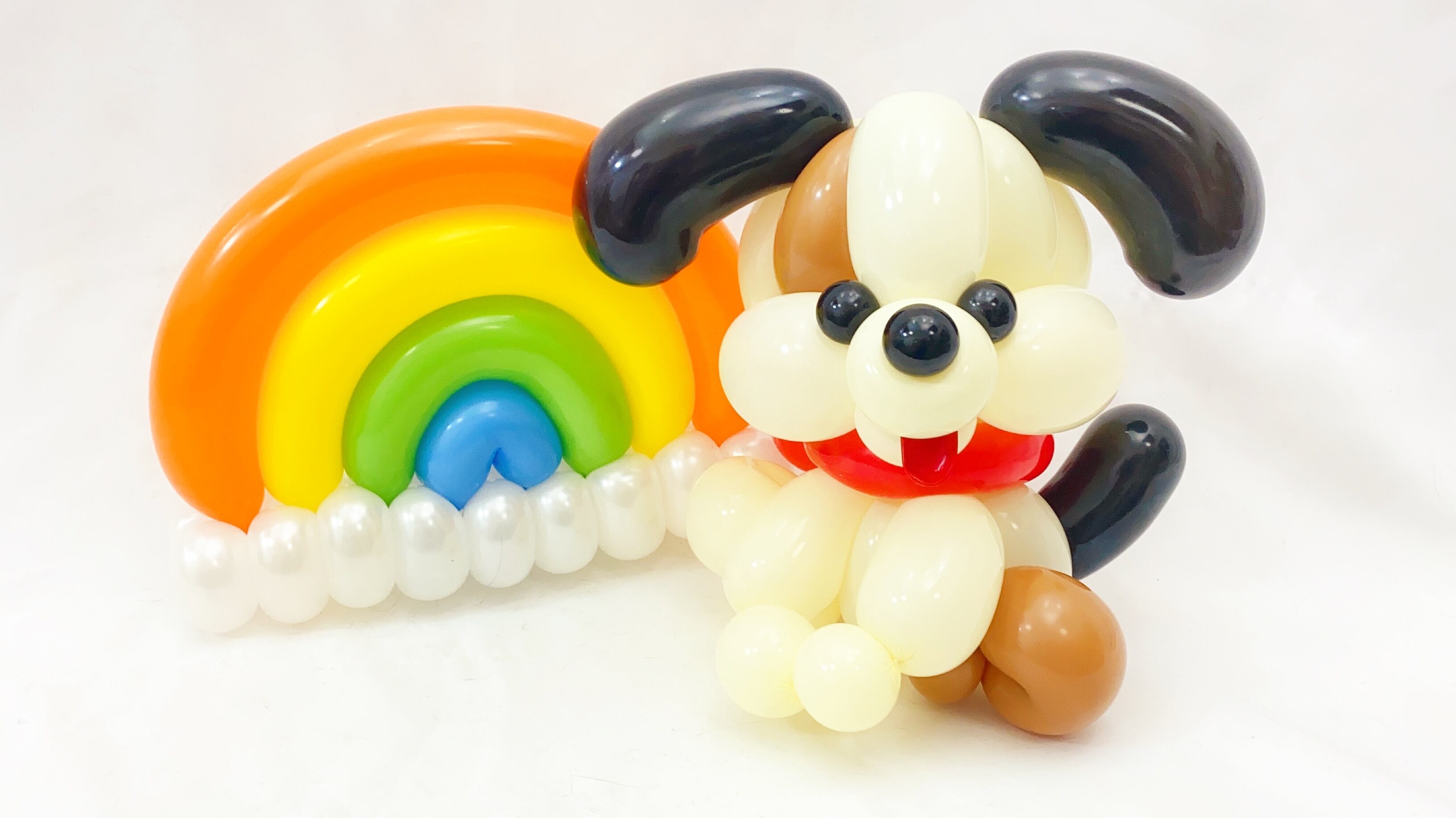 虹と犬の作り方 レジュメ有 ティーズ アミューズファクトリー