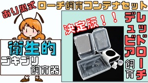 あり巣式ローチ飼育コンテナセット