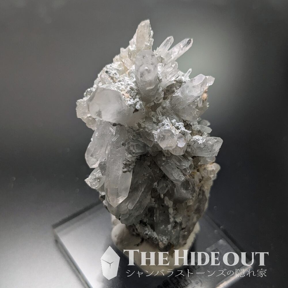 日本国産鉱物標本037 宮崎県臼杵郡日之影町乙ヶ淵（苔土フォイト電気石