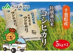 千葉県産コシヒカリ　特別栽培米　５ｋｇ×２