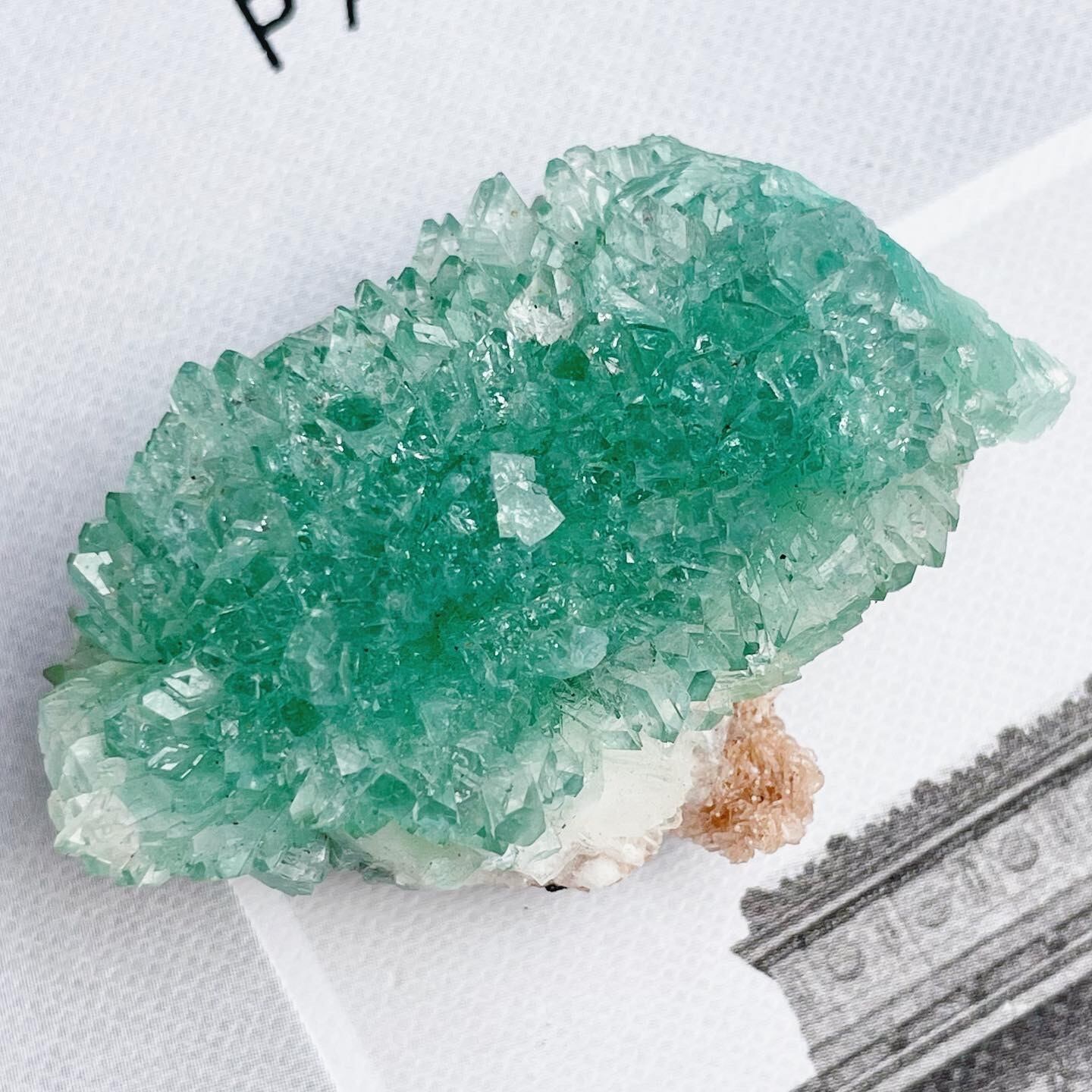 Flower Green Apophyllite 6