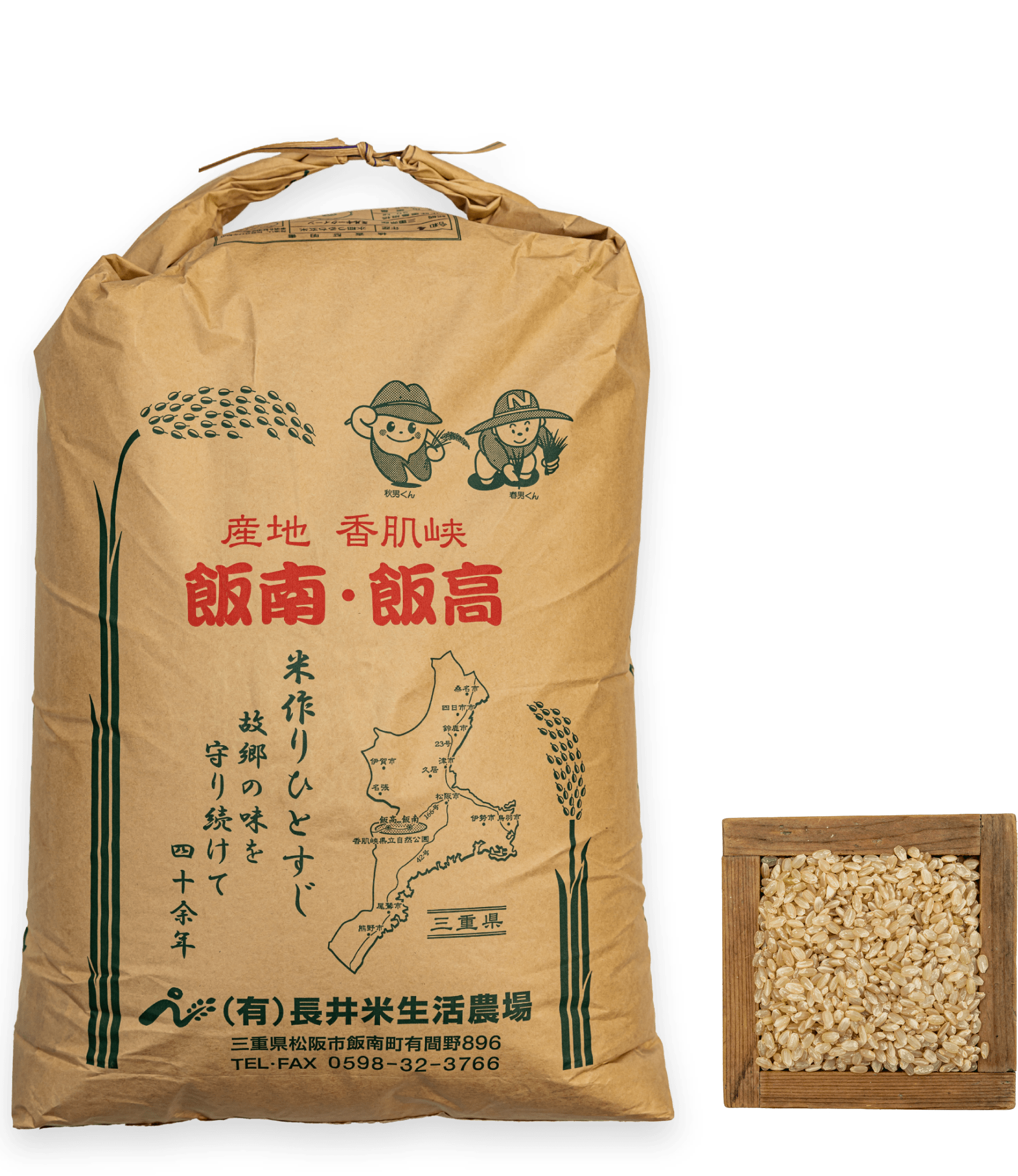 コシヒカリ玄米25キロ　米/穀物