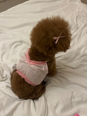 予約【pecoramou select】pretty home wear