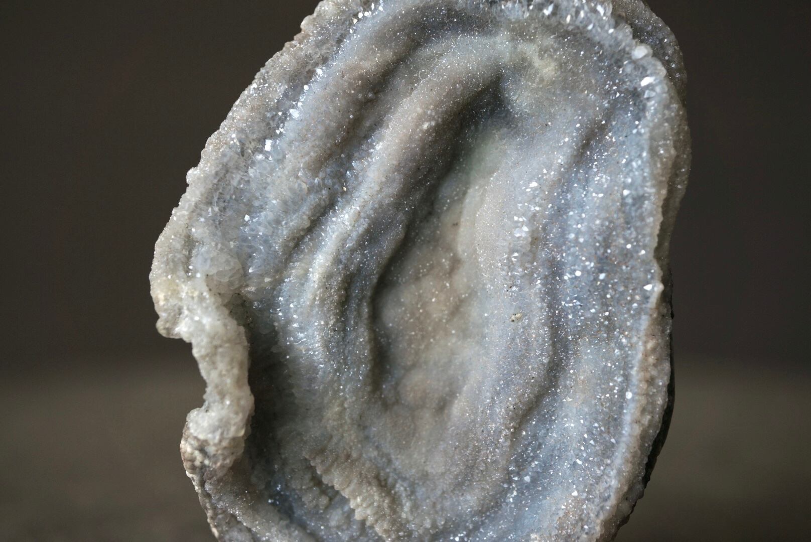 コンシャ・アゲート Concha Agate 1822 | 叙景 jokei