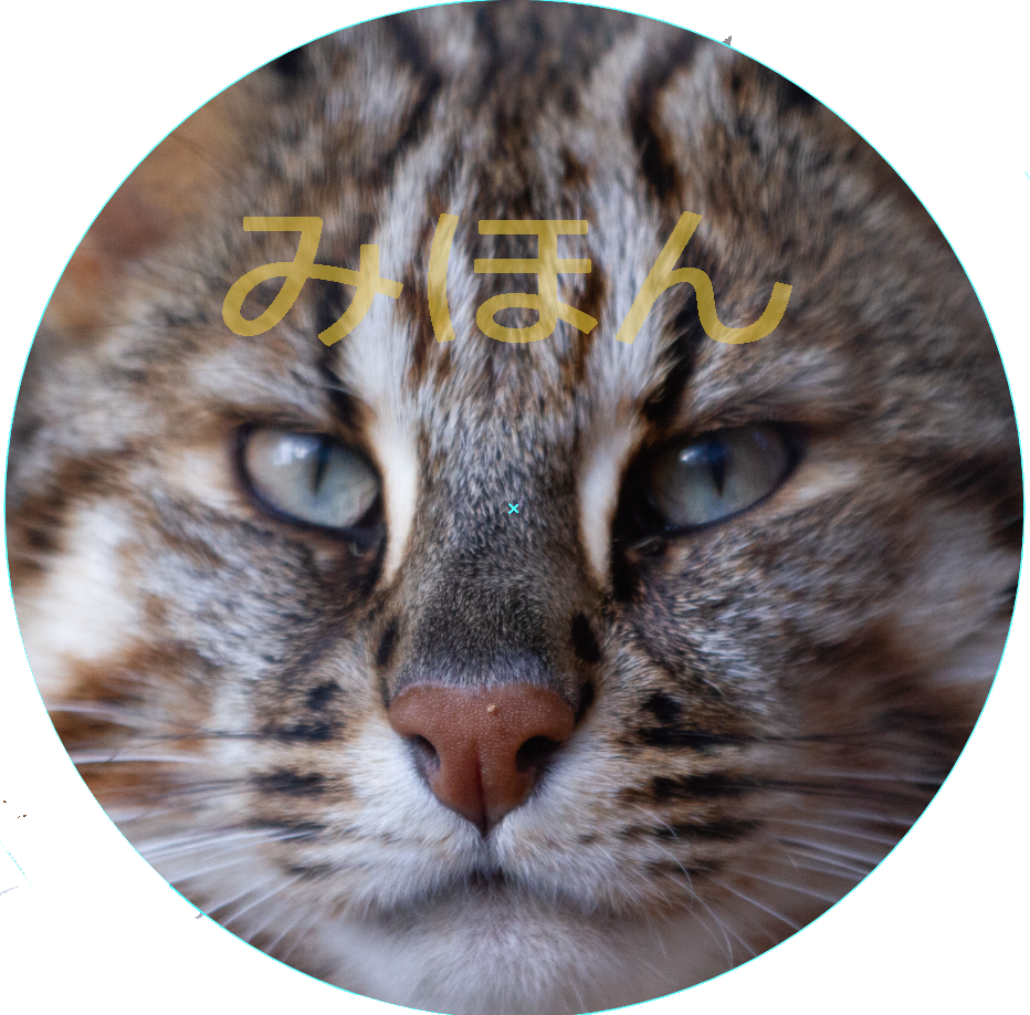 ツシマヤマネコ F44mm缶バッジ やまねこショップ ツシマヤマネコ F44mm缶バッジ やまねこショップ