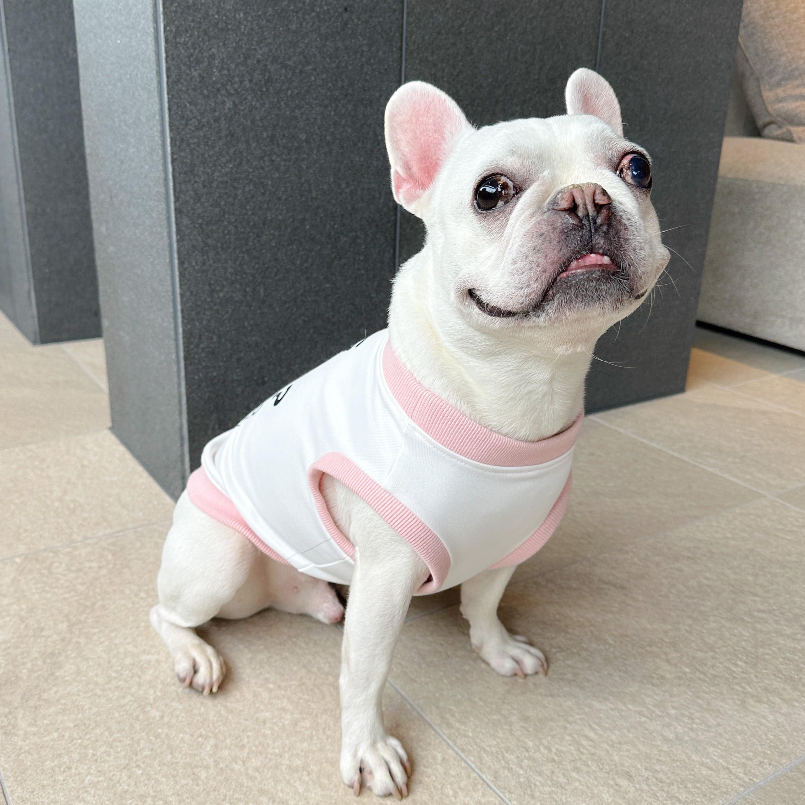 ブタさんタンクトップ | 犬服BUTTER