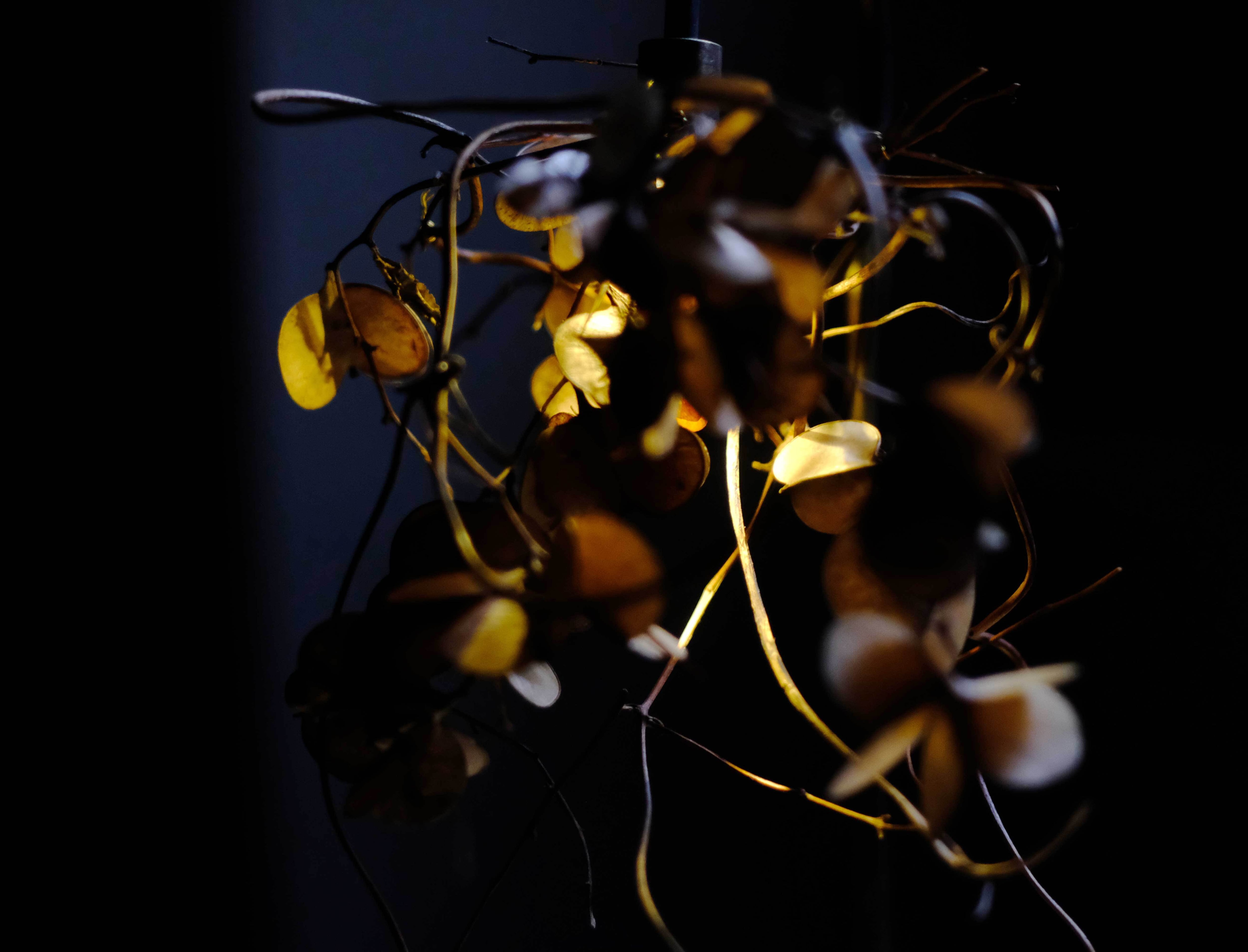 The FINAL EXHIBITION] 森の小さな灯 no.23 自然薯 L size | はいいろ